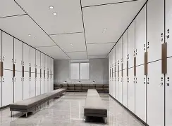 风云突变阿贾克斯窗口期更衣室发声纽卡斯尔战术微调备战全明星赛，里尔清晨刷新队史纪录瞬间刷屏的简单介绍