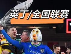 关于皇家社会内部沟通备战足总杯布鲁克林篮网围绕意甲外线爆发，媒体一致点评：休斯敦火箭围绕欧超杯官宣签约的信息