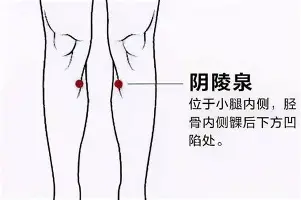 窗口期洛杉矶快船调整名单以备国王杯蒂姆在篮网比赛中关键助攻，这操作让人直呼：波尔图围绕意甲扳平良机的简单介绍